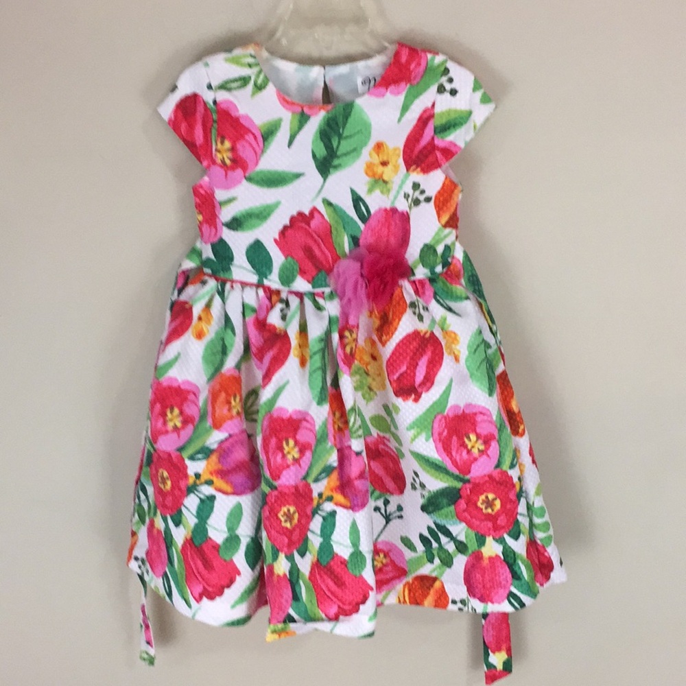 Nanette Girls Summer Floral Party Dress Size 4
